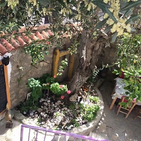 Serin 호텔 알라카티