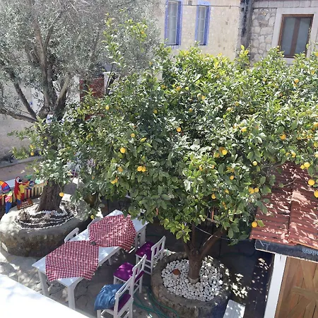 Serin 3* 알라카티