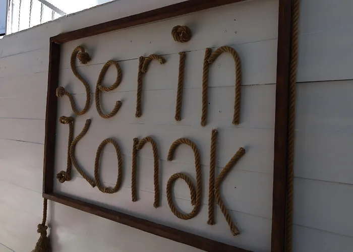 酒店 Serin 阿拉恰特